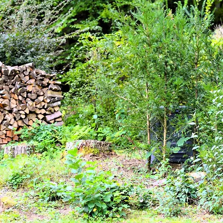 Ferienhaus Kruko Reinhardshagen
