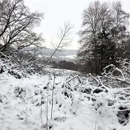 Kruko * Reinhardshagen