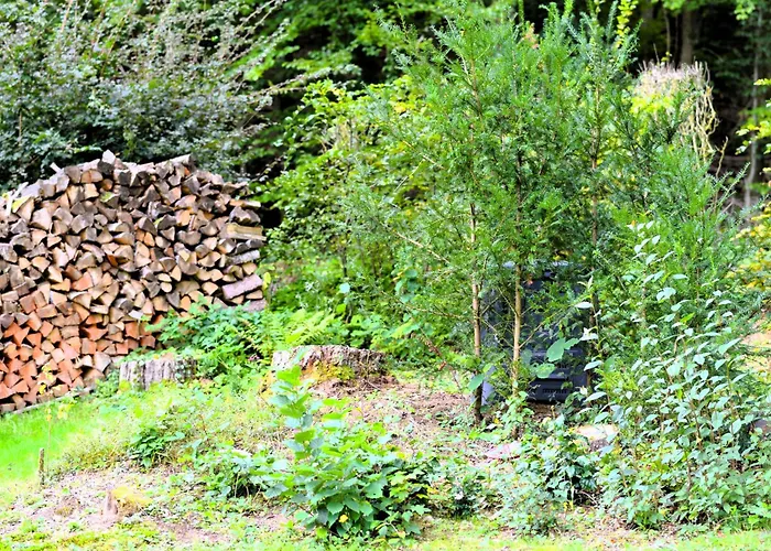 Ferienhaus Kruko Reinhardshagen