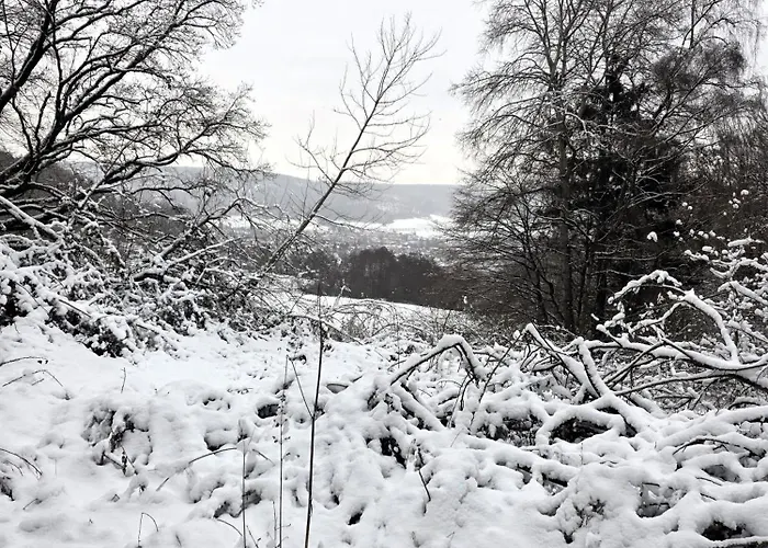 Kruko * Reinhardshagen